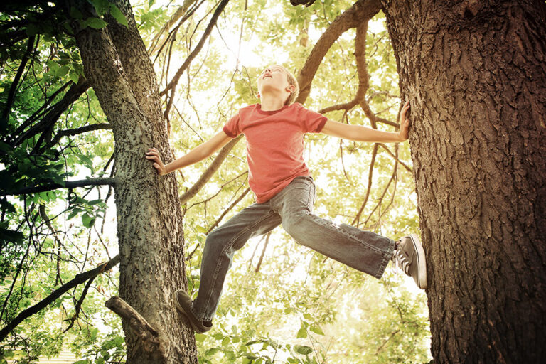 Happy boy climbing a tree.  Instagram effect.